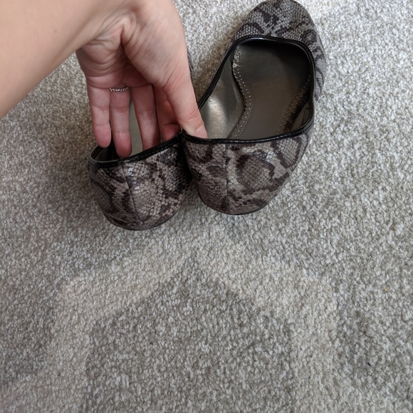 Charlotte Russe Snakeprint Flats - Picture 6 of 8